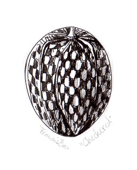 Checkered Egg by Francis Bax